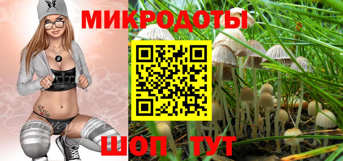 Галлюциногенные грибы Psilocybe  наркотики  Звенигород  Вход с VPN 