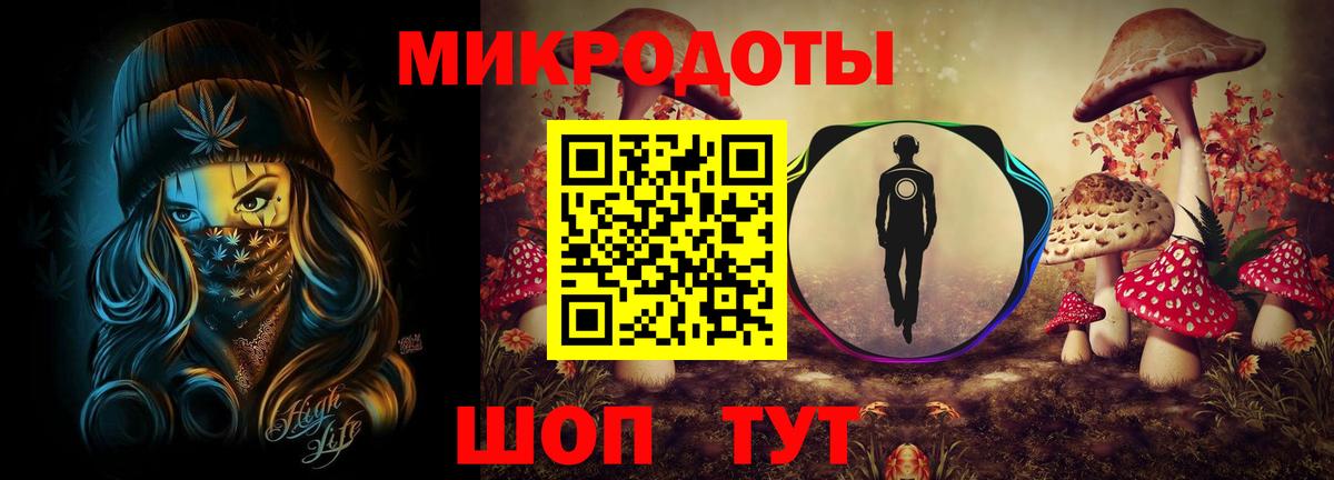 Псилоцибиновые грибы Psilocybine cubensis Звенигород